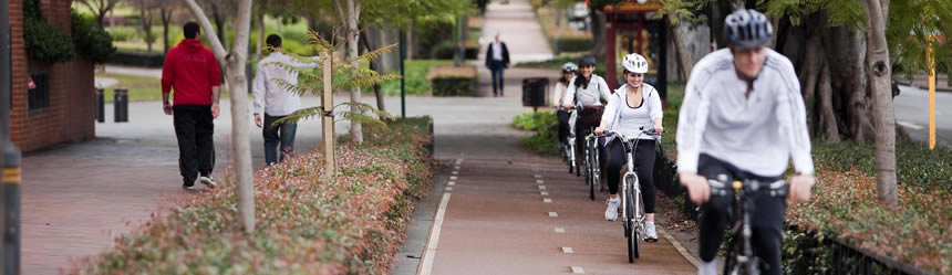 People walking and cycling on a dedicated path
