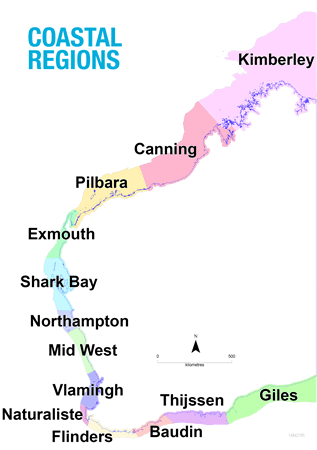 Marine: Sediment regions map