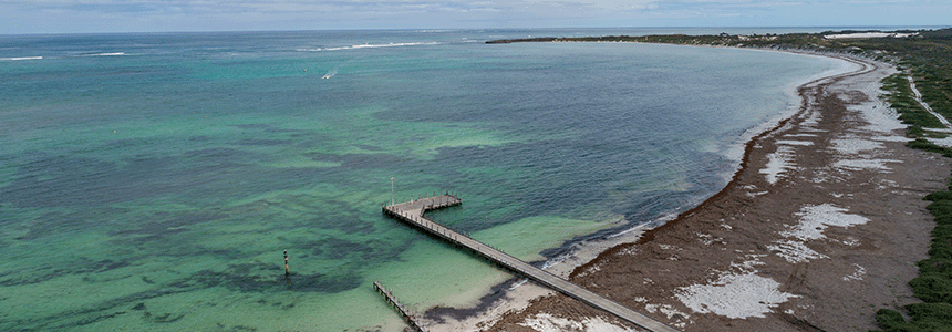 Aerial photo of Green Head Maritime Facility.