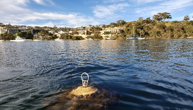 Excess growth on swing mooring buoy contributes to poor buoyancy and becomes a hazard to other water way users and is non-compliant with Swing Mooring Regulations.